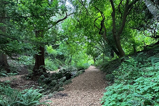 Public Weekend Walking Tour: Highlights of Golden Gate Park - Accessibility Features