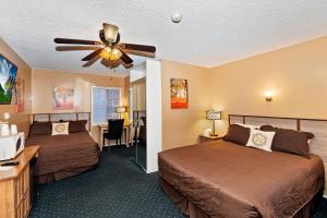 Robinhood Resort - Guest Reviews and Feedback