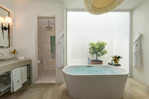 Rocco Forte Masseria Torre Maizza - Guest Reviews and Ratings