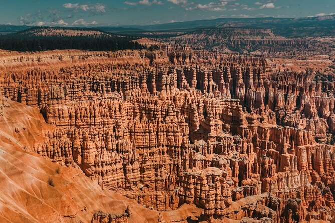 San Francisco to Yellowstone and Las Vegas 7-Day Tour - Booking Information