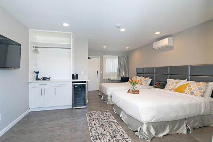 Sands Of La Jolla Review