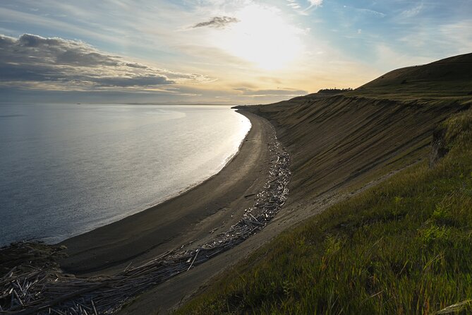 Scenic Coast and Wildlife Tour - Whats Included