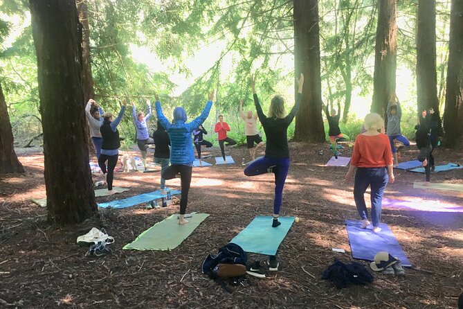 Silent Disco Style Yoga Class in Lake Merritt Pergola - Participation Requirements