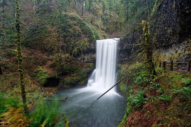 Silver Falls Private Hike Tour - Meeting and Pickup
