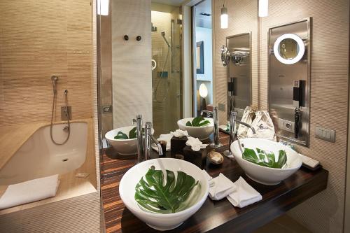 Sina The Gray - Available Amenities