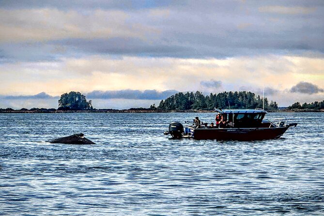 Sitka'S Private Wildlife Whale Adventure for 6 W/Transportation - Accessibility Information