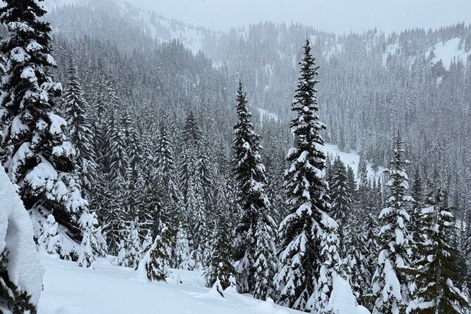 Snowshoeing at Crystal Mountain by Mount Rainier - Discovering Stunning Vistas