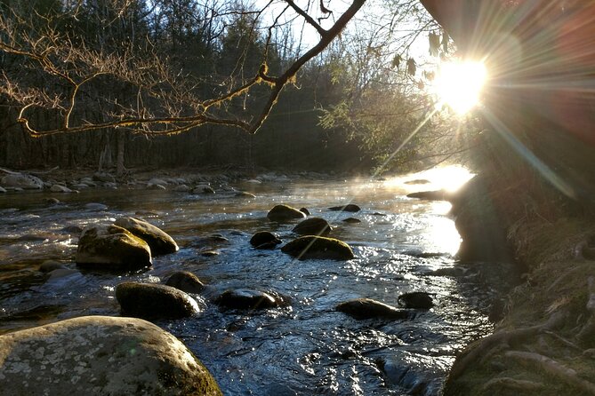 Stroll Back in Time Smokies History Streams and Forest Hike - Taking in the Tranquility of Nature