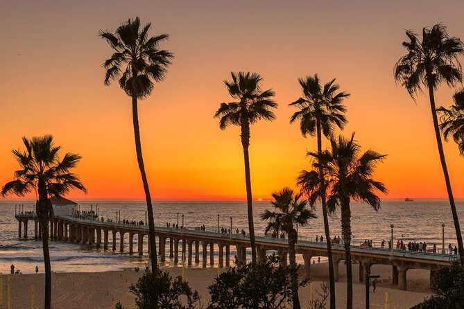Transfer From Los Angeles City Center to LA Airport (LAX) - Accessibility Features