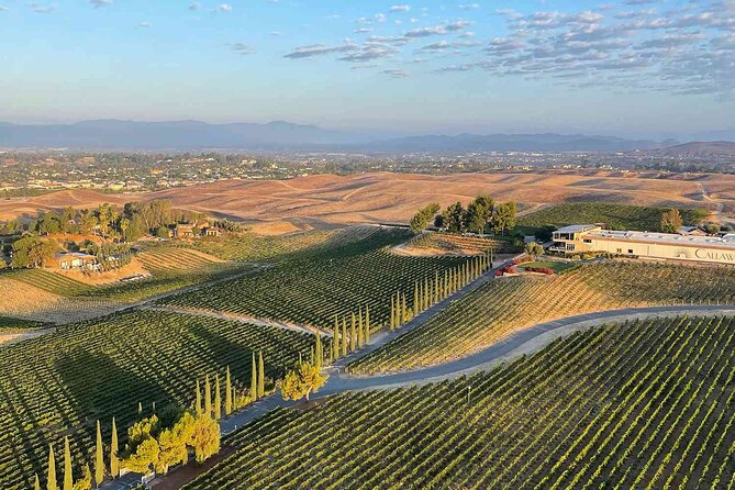 Transfers Between Temecula Area and San Diego Airport - Accessibility and Participation
