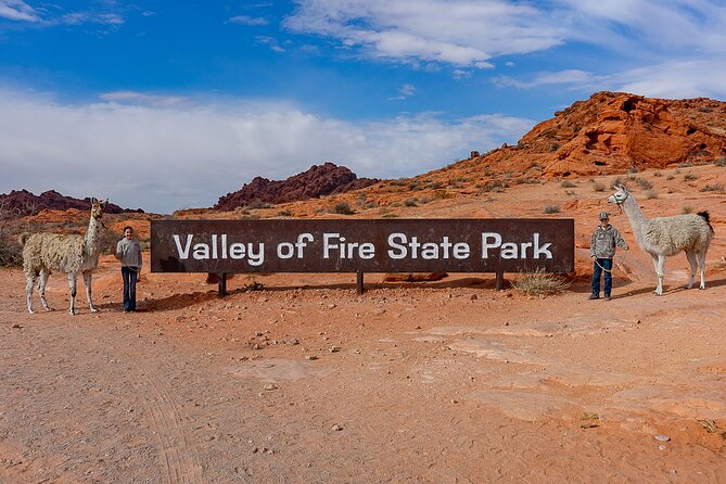Valley of Fire Llama Hikes - Meeting the Llamas