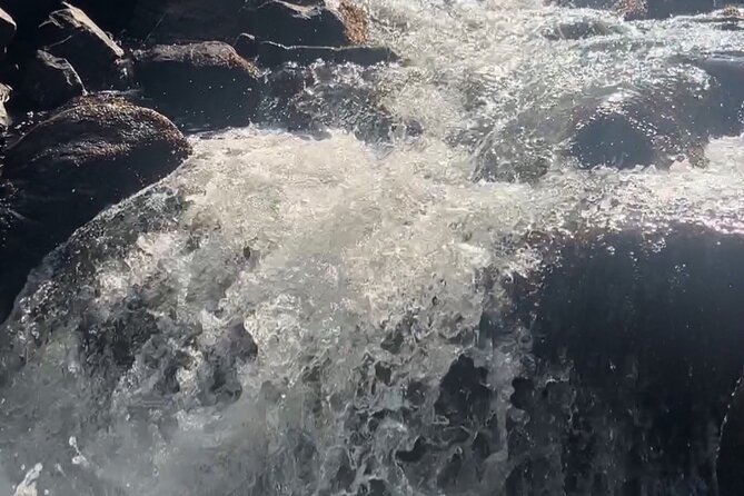 Waterfalls Adventure, A Hidden Gem In Nature - What to Expect on Your Adventure