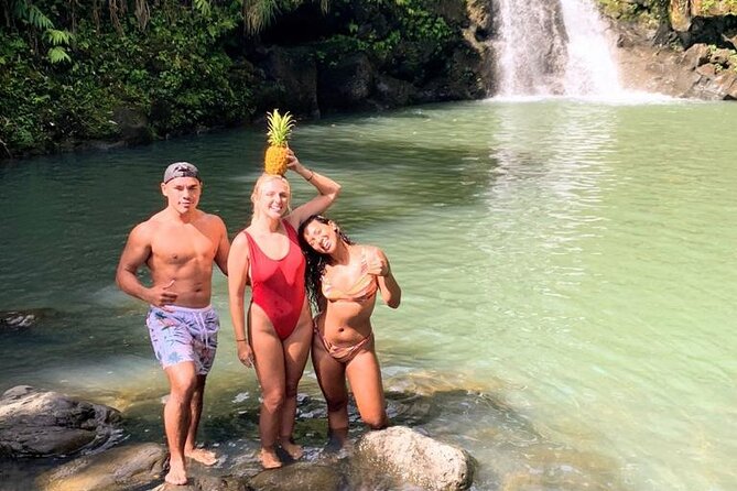 Waterfalls, Hike & Rivers Tour From Kahului - Inclusions and Amenities