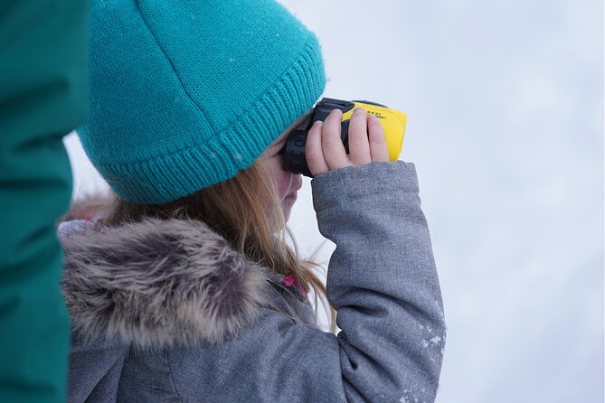 Wildlife Safari, Elk Refuge Sleigh Ride, Winter Camp Igloo Dinner - Dining Under the Stars: The Winter Camp Igloo Dinner