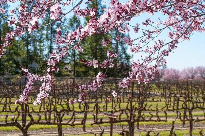 Wine Tasting Audio Tour - Lodi California - Inclusions