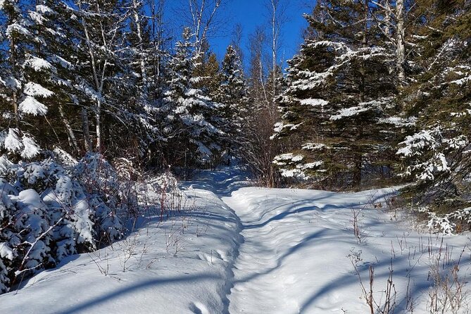 XC Ski or Hok Ski Rental Package - Additional Gear Options