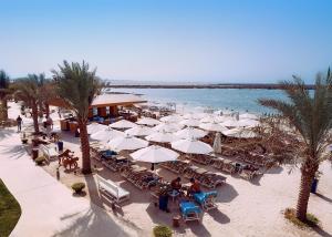 Yas Island Rotana Abu Dhabi - Culinary Experiences at Yas Island Rotana