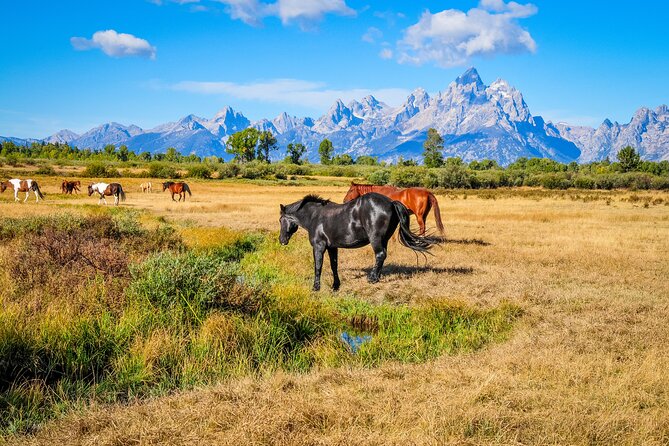 Yellowstone, Grand Teton,& Grand Circle Adventure: 7 Parks 9 Days - Complimentary Activities