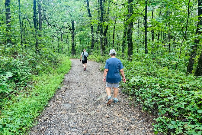Yonah Mountain Hike Private Tour in Georgia - Booking and Cancellation Policies