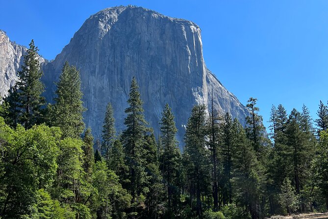 Yosemite Full Day Private Tour - Operating Hours and Availability