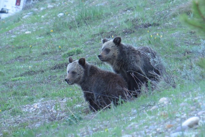 2-Day Private Tour of Yellowstone National Park Lower & Upper Loops - Day 1: Exploring the Lower Loop