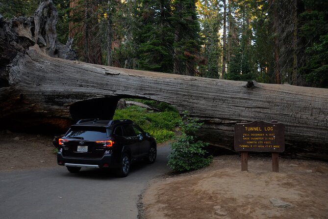 2 Days Private Tour to Sequoia and Kings Canyon Parks From LA - Pickup Information