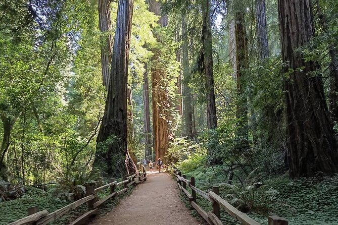 Alcatraz Night Tour & Muir Woods-Sausalito Afternoon or Morning - Accessibility and Participation