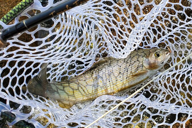 Anchorage Guided Fly-fishing - Licensing and Requirements