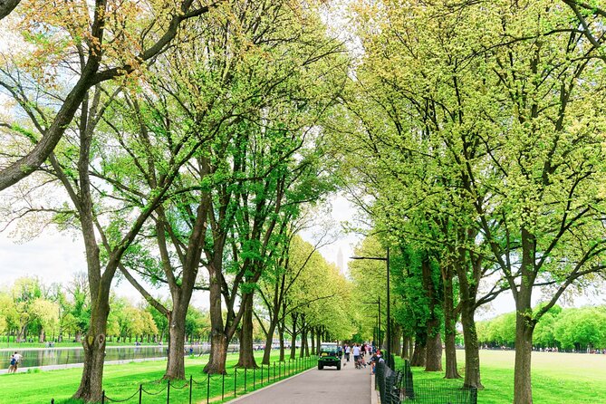 Architecture of Washingtons National Mall Audio Guide - Booking Information and Policies