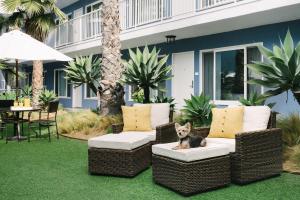 Bayside Hotel - Hotel Facilities and Services