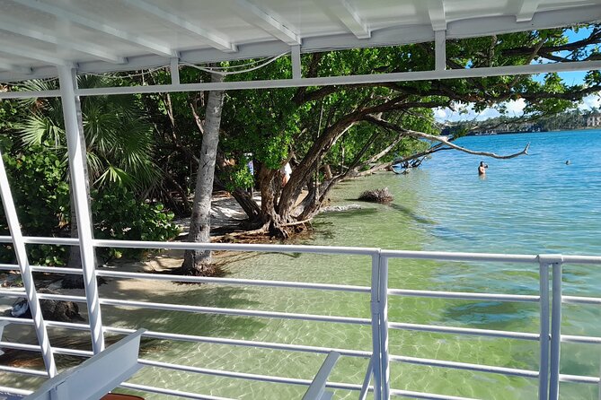 Bayside Market Place Snorkeling for Beginners - Participation Guidelines and Requirements