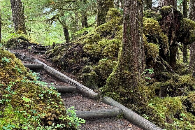 Beautiful Hike on Tongass National Forests Lunch Creek Trail - Refueling and Resting