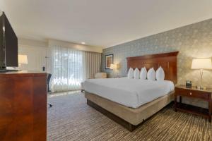 Best Western Plus Carriage Inn - Guest Reviews and Highlights