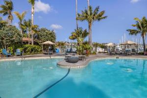 Best Western PLUS Island Palms Hotel & Marina - Guest Reviews and Highlights