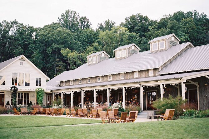 Charlottesville: Best Vineyards Private Tour (Up to 14 People) - Vineyard Experience