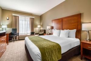 Comfort Inn & Suites Sacramento - University Area - Amenities and Facilities