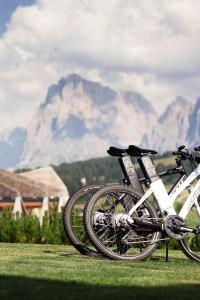 COMO Alpina Dolomites - Dining Options