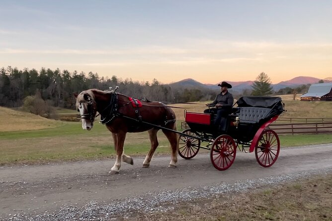 Cozy Farm Experience With Wagon Wheels and Acoustic Meal - Accessibility Considerations