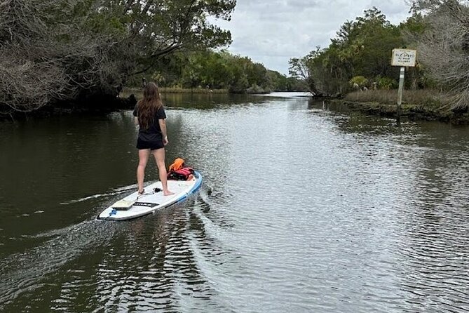 Crystal River Reserve State Park Electric Paddleboard Rentals - Health and Safety Guidelines