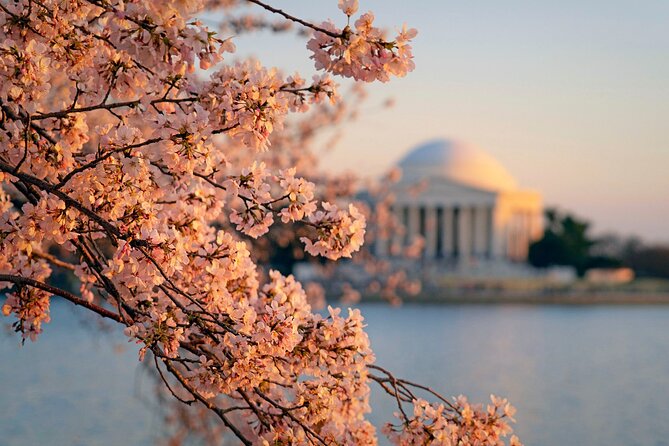 Day Escape to Nation'S Capital:Washington D.C. Day Trip From NYC - Sum Up