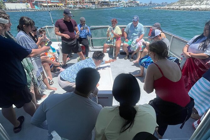 Destin Crab Island Tour - Tips for an Enjoyable Experience
