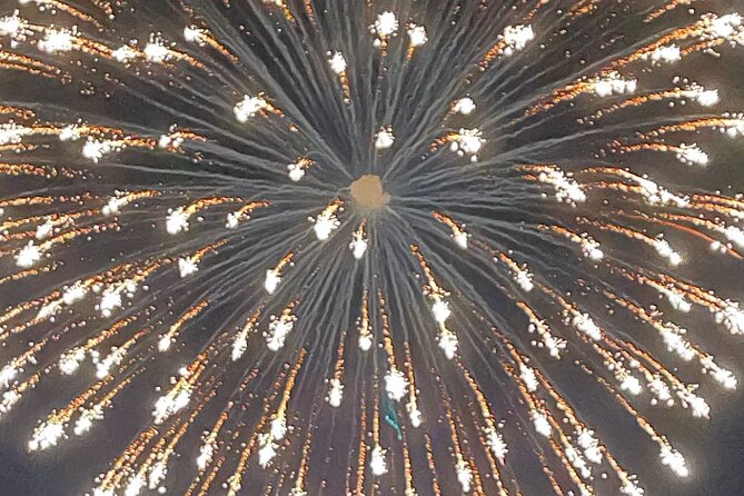 Destin Fireworks Cruise - Accessibility and Participation