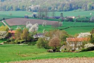Fletcher Hotel-Restaurant Parkstad- South Limburg - Policies and Regulations