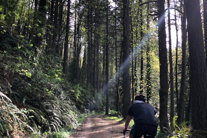 Forest Park Carbon Gravel Bike and E-Bike Tour - Booking Information