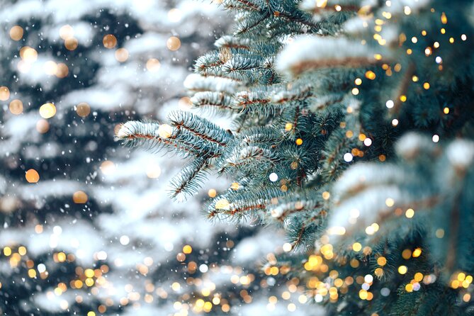 Franklin's Festive Lights Spectacular A Christmas Wonderland Tour - What to Expect During the Tour