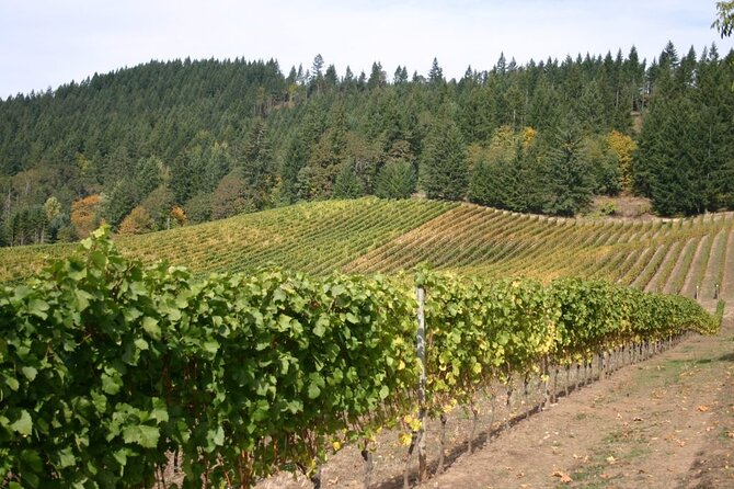 From Portland Private Willamette Valley Wine Tour - The Sum Up