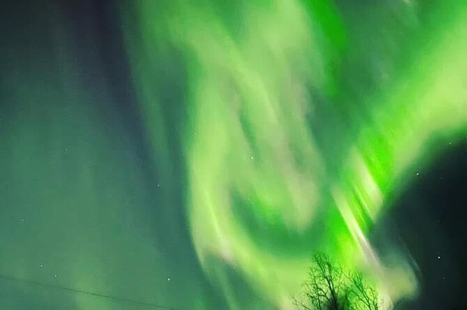 Full Alaskan Experience - Booking Your Adventure