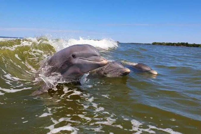Full Day Everglades Combo Motorboat Eco and Kayak Tour - Booking Information