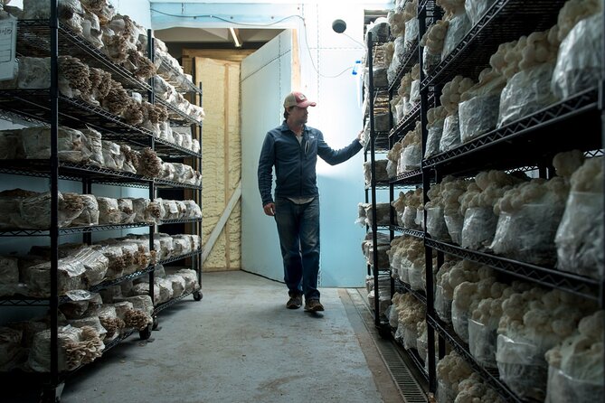 Gourmet Mushroom Farm Tour in Tennessee - Cancellation Policy and Flexibility