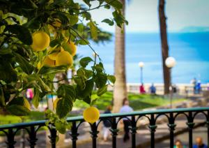 Grand Hotel La Favorita - Guest Experience